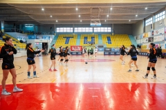 F4_Xuvenil2_Tui-236