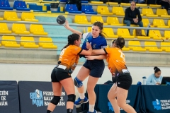 F4_Xuvenil2_Tui-7