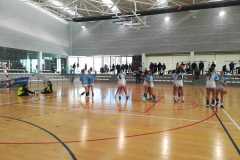 IF-calentando