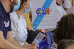 GAL-AST_110