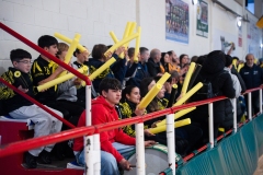 Copa_federacion-4