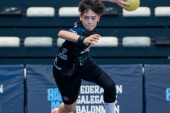 Final4_Inf_Lalin-219