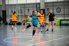 DDT-PONTEVEDRA-FGBm-43