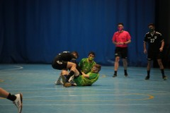 IMG_4519