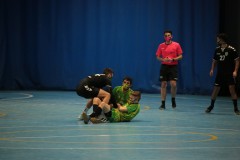 IMG_4520